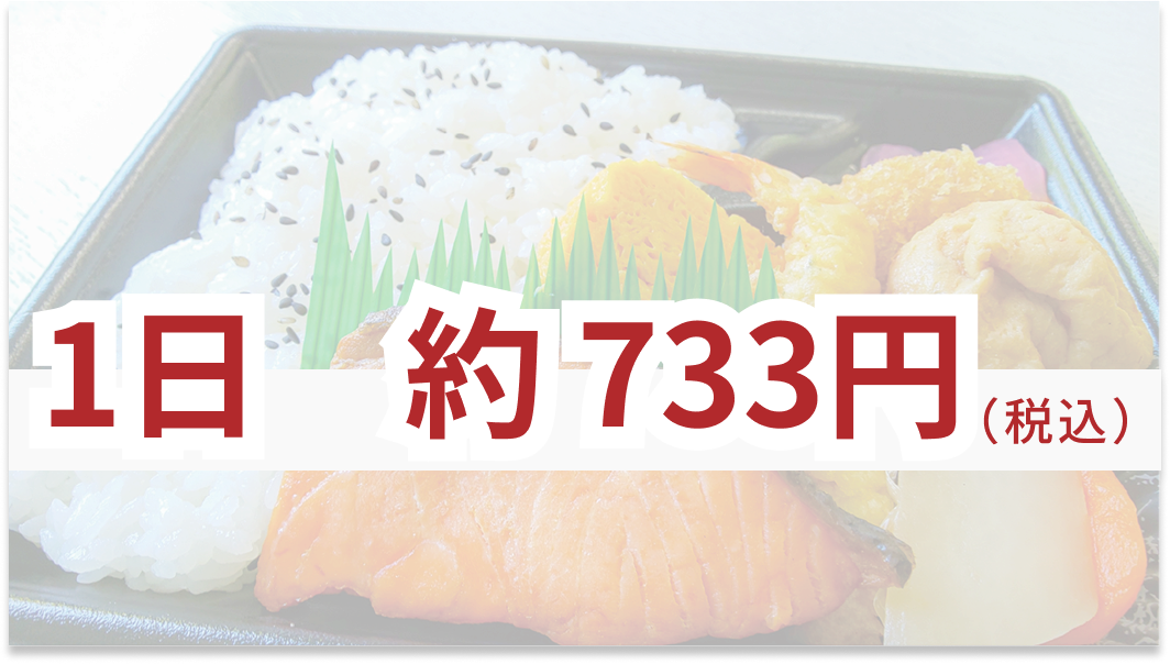 1日 733円(税込)